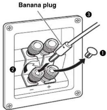 YAMAHA NSC525 - When using a banana plug - 1
