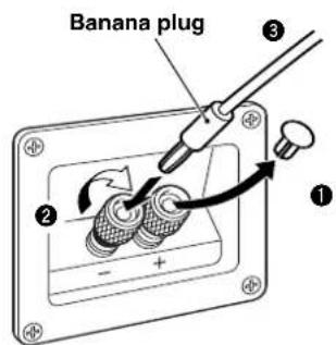 YAMAHA NSM525 - When using a banana plug - 1