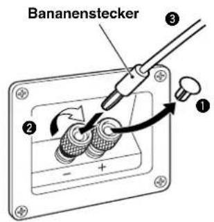 YAMAHA NSM525 - Bei Verwendung eines Banansteckers - 1