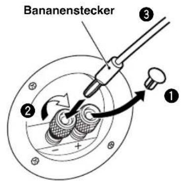 YAMAHA NSM325 - Bei Verwendung eines Bananensteckers - 1