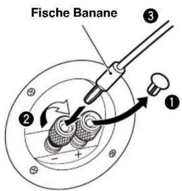YAMAHA NSM325 - Lorsqu'une fiche banane est utilisé - 1