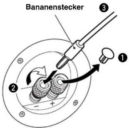YAMAHA NSC325 - Bei Benutzung eines Bananensteckers - 1