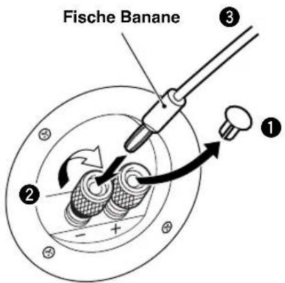 YAMAHA NSC325 - Lorsqu'une fiche banane est utilisée - 1