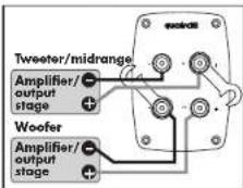 Quadral Ascent Base II - Screw terminals - 5