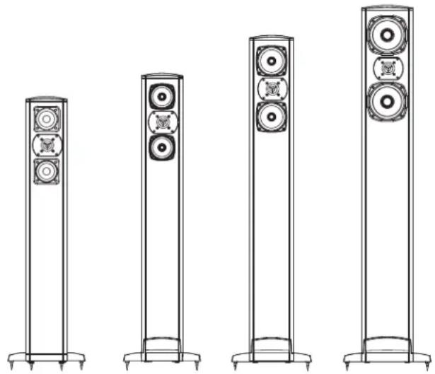 DEFINITIVE TECHNOLOGY BP8020ST - CE - 1