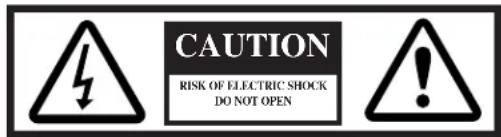 DEFINITIVE TECHNOLOGY BP8020ST - Safety Precautions - 1