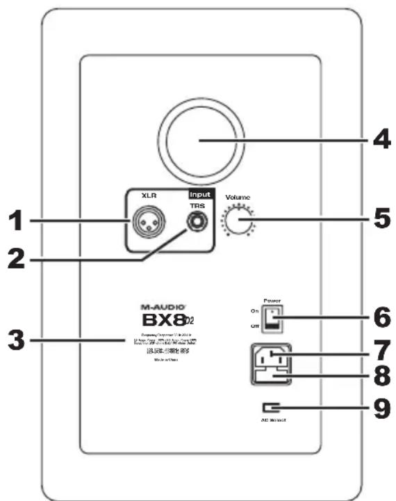 M-AUDIO Studiophile BX8 D2 - Pannello posteriore - 1