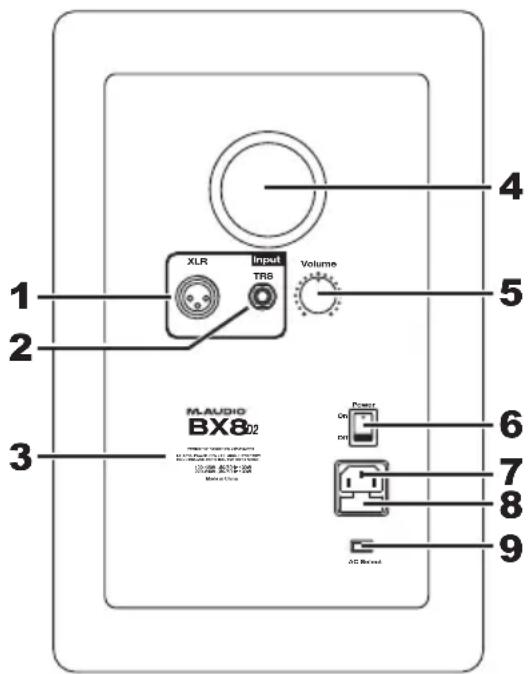 M-AUDIO Studiophile BX8 D2 - Rückseite - 1