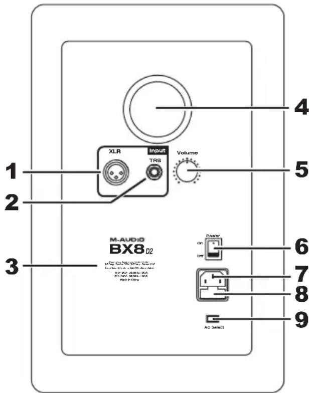M-AUDIO Studiophile BX8 D2 - Paneltrasero - 1