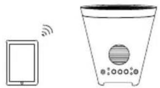 ION Planter Speaker - Setup Scenario 3 - 1