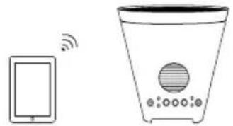 ION Planter Speaker - DIAGRAMA DE CONEXIÓN - 1