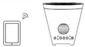 ION Planter Speaker - SCHÉMA DE CONNEXION - 1