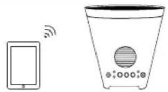 ION Planter Speaker - SCHEMA DEI COLLEGAMENTI - 1