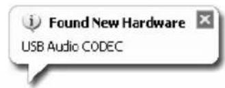 Found New Hardware USB Audio CODEC