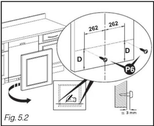 Fig. 5.2 262 262 D D P6 ≡ 3 mm