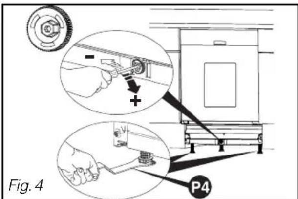 Fig. 4 P4