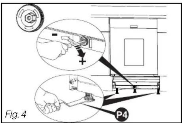 Fig. 4 P4
