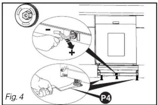 Fig. 4 P4
