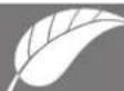 FAGOR 2LF019IX - Umwelt - 1
