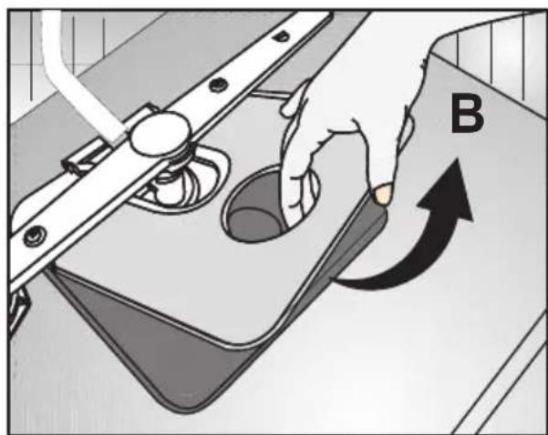 B