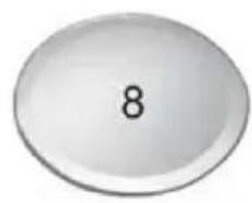 PROLINE PBI 47 FULL - De bovenste en onderste korf vullen - 9
