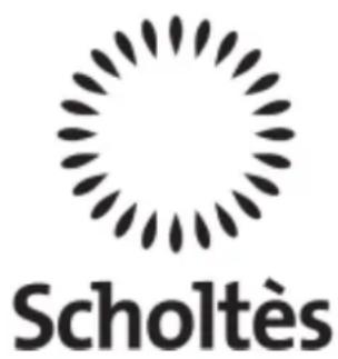 SCHOLTES LVTI 1256 - Précautions et conseils, 10 - 1