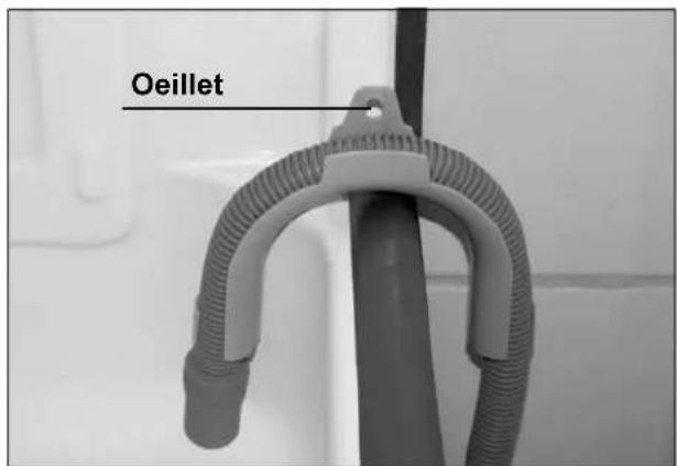 Oeillet