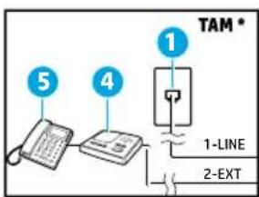 HP OfficeJet 6951 - Extra apparatuur aansluten - 1