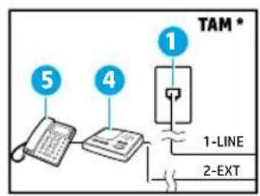 HP OfficeJet 6956 - Conexión de dispositivos adicionales - 1
