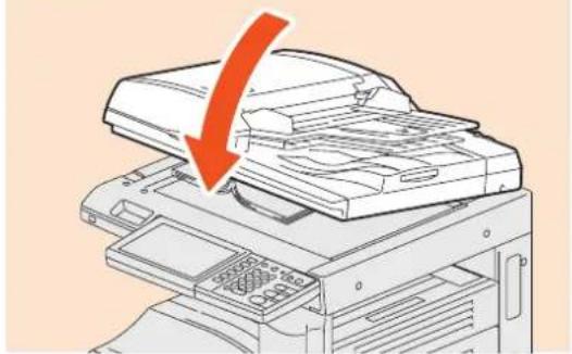 TOSHIBA EStudio 356SE - Vitre d'exposition - 3