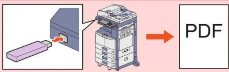 PDF
