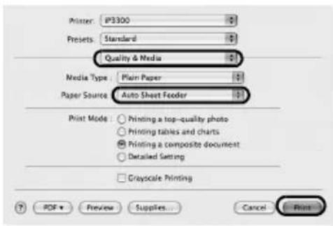 CANON Pixma iP3300 - Not - 3