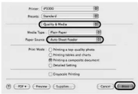 CANON Pixma iP3300 - Huomautus - 3