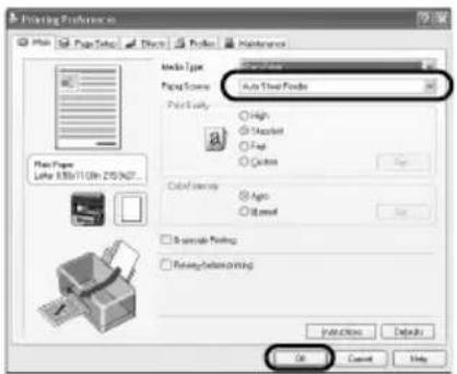 CANON Pixma iP3300 - Pastaba - 1