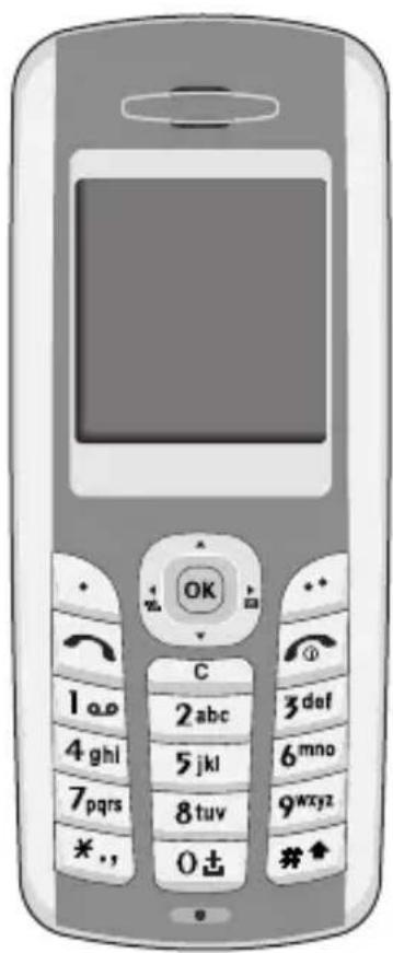 OKI C3100 - Introduction - 1