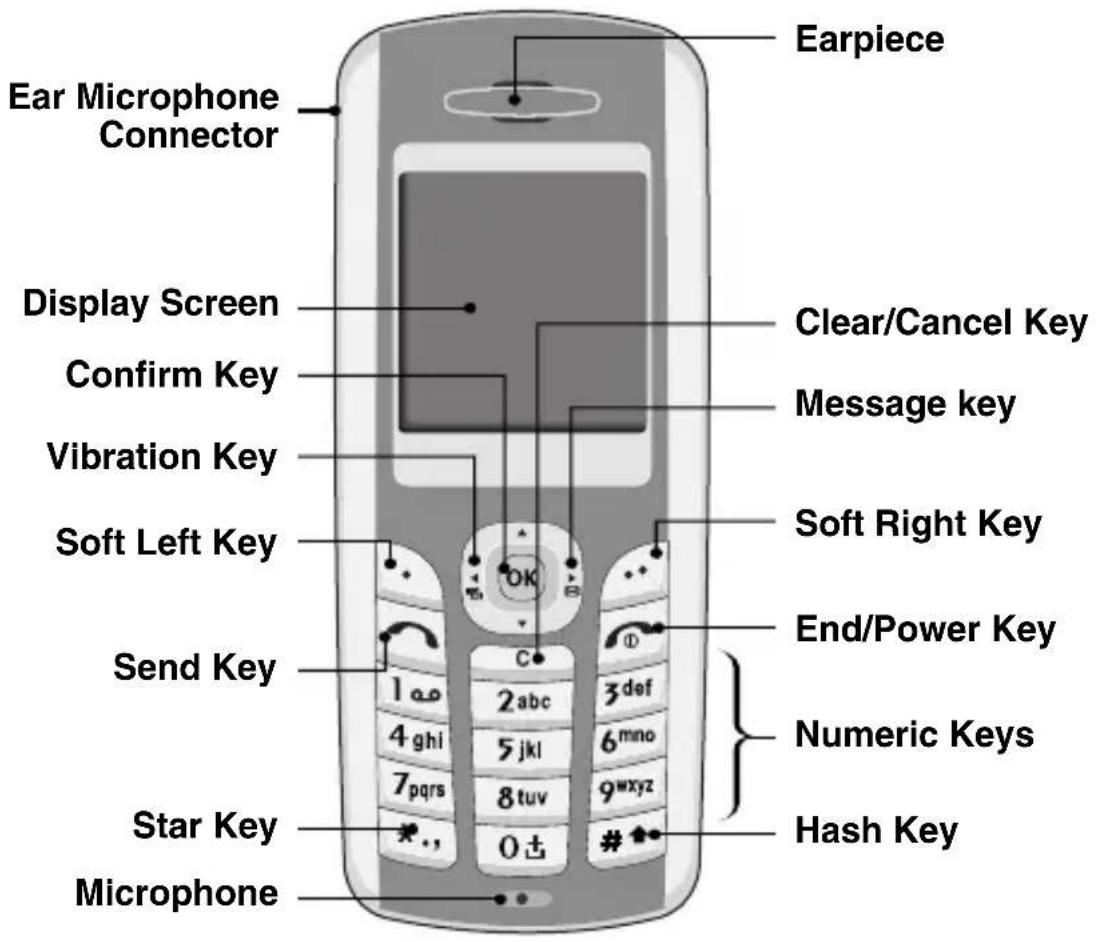 OKI C3100 - Main body of the Phone - 1