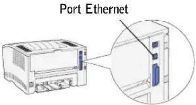 DELL S2500N - Connexion des câbles - 1