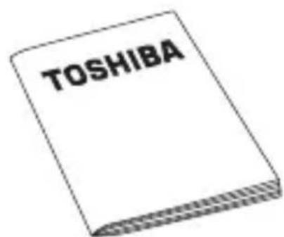 TOSHIBA StorE Steel - *Opomba: - 3