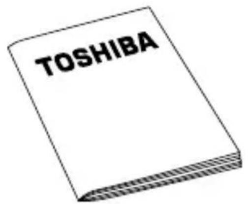 TOSHIBA StorE Art 2 - CONTROLLO del Componenti - 3