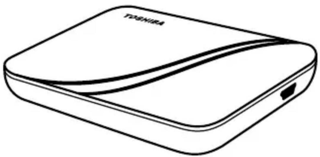 TOSHIBA StorE Art 2 - CONTROLLO del Componenti - 1