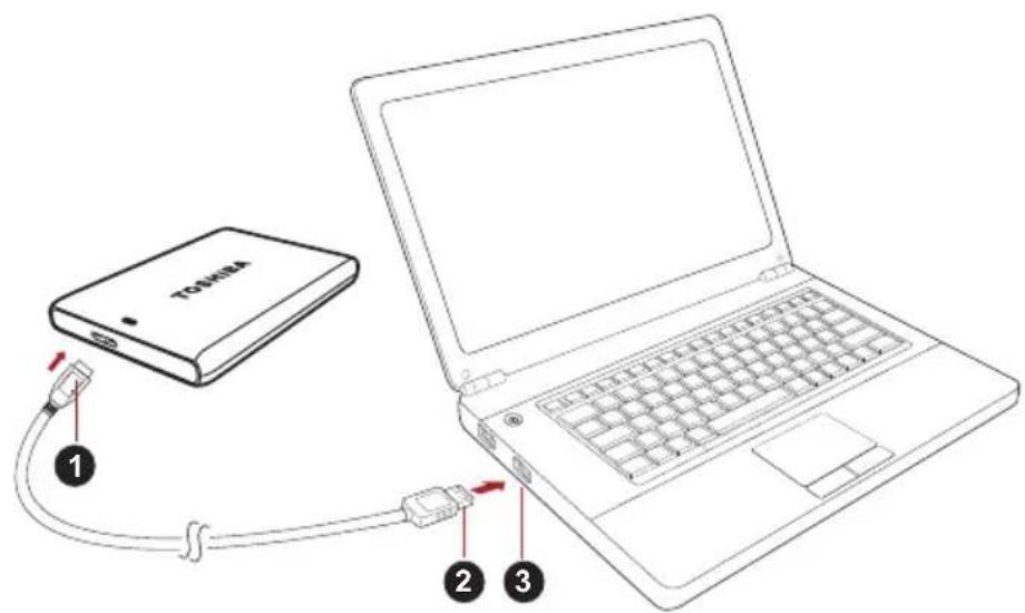 TOSHIBA Canvio Plus - Поклоченье диска К komпьотepy - 1