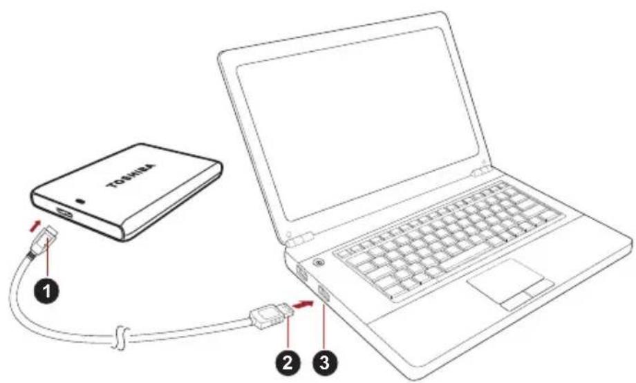 TOSHIBA Canvio Plus - Sürucünün bilgisayariniza,—baglanması - 1