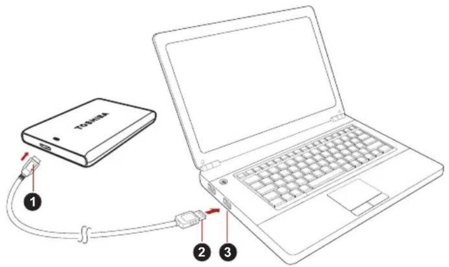 TOSHIBA Canvio Plus - Aseman yhdistäminentietokoneeseen - 1