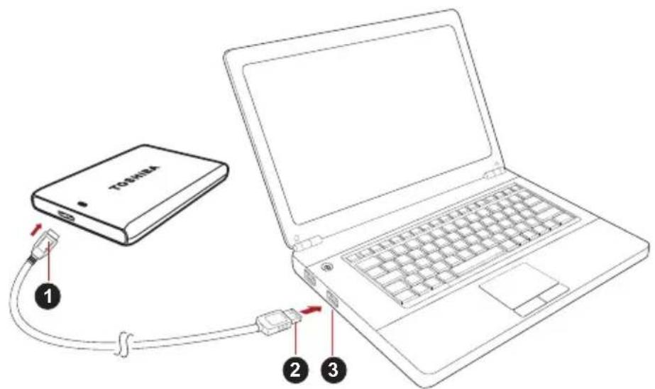 TOSHIBA Canvio Plus - Kople stasjonen til datamaskinen - 1
