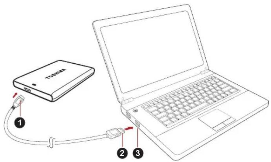 TOSHIBA Canvio Plus - Ligar a unidade ao computador - 1