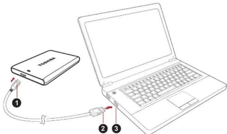 TOSHIBA Canvio Plus - Connexion du lecteur à l'ordinateur - 1