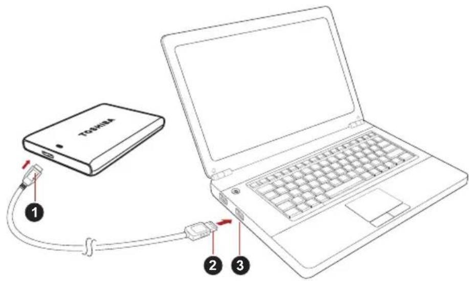 TOSHIBA Canvio Plus - Connecting the drive to your computer - 1