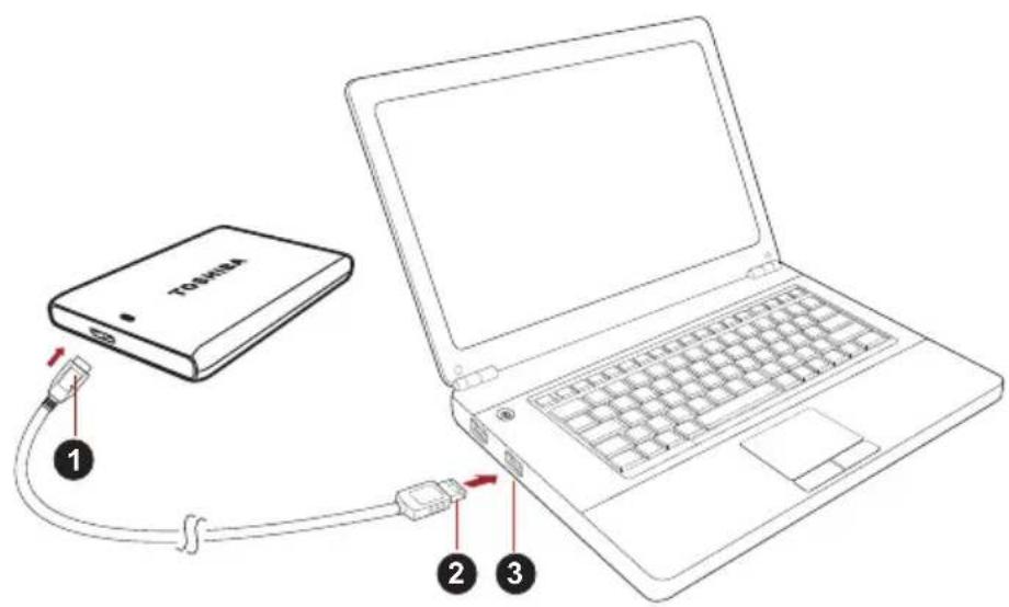 TOSHIBA Canvio Plus - Ansluta encheten till datorn - 1