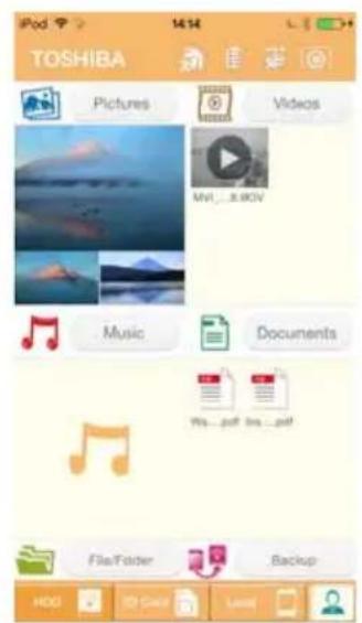 TOSHIBA Pictures Videos MVI...8.80V Music Documents Wu...paf brs...paf! File/Folder Backup HDD Case Less 1414