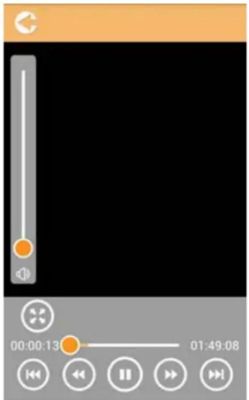 Screenshot of a media player interface showing playback controls and timecode